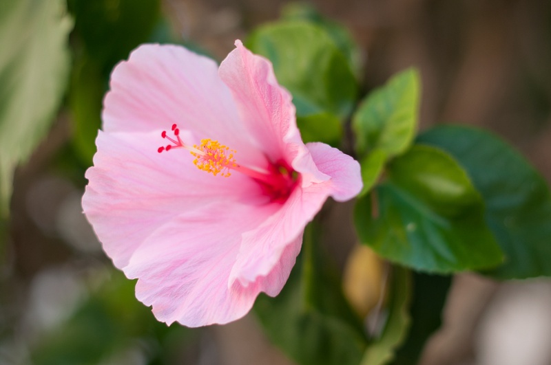 _DSC2281-ab-s