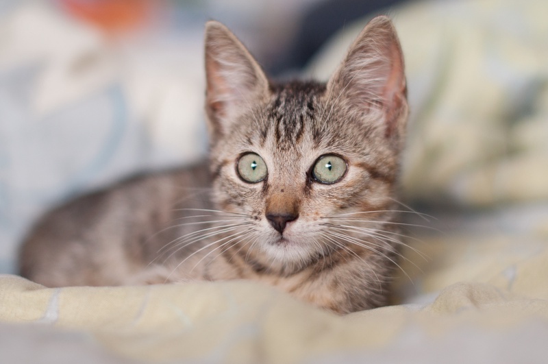 _DSC3050-ab-l