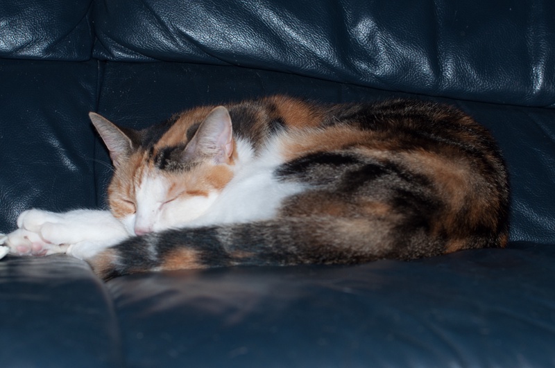 _DSC0614-ab-s